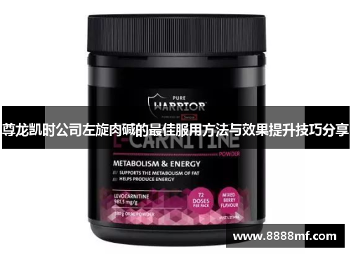 尊龙凯时公司左旋肉碱的最佳服用方法与效果提升技巧分享